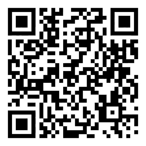 Custom Logo QR